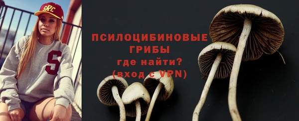 дживик Михайловка