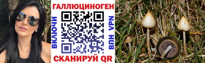 Псилоцибиновые грибы мицелий Кадников